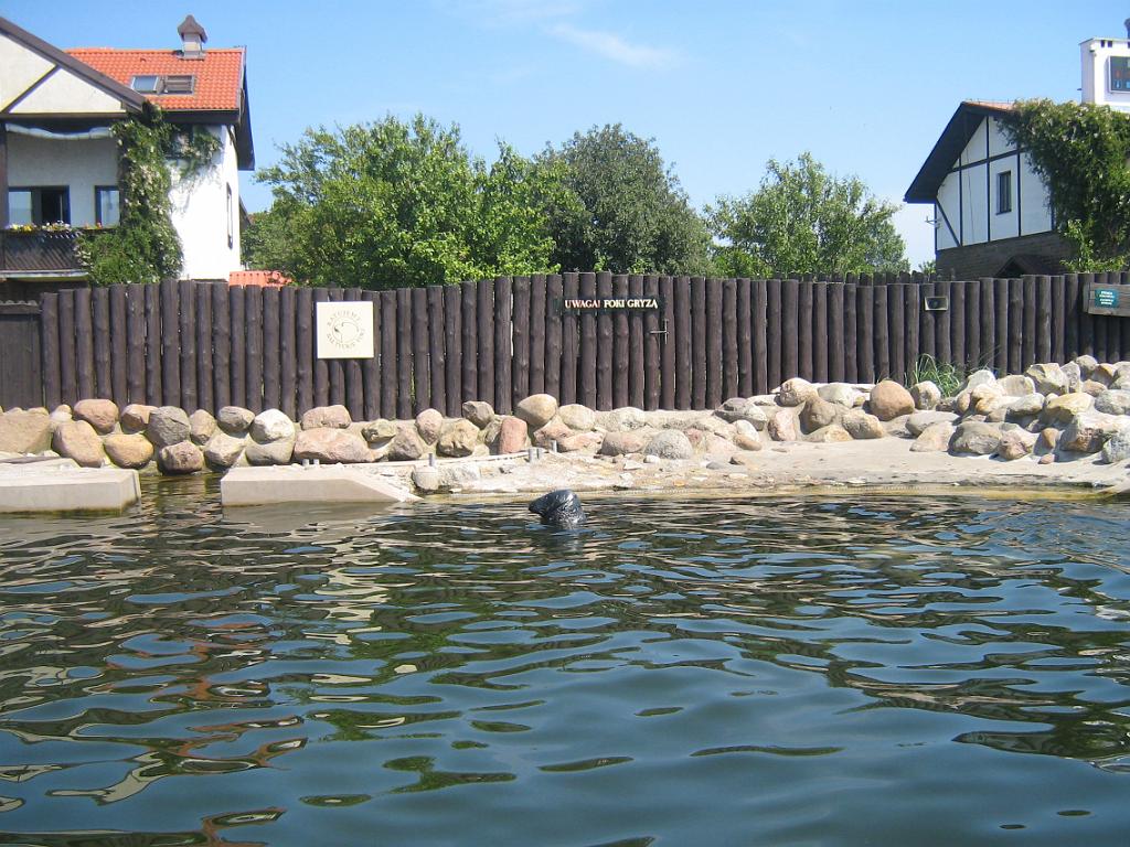 5 180.jpg